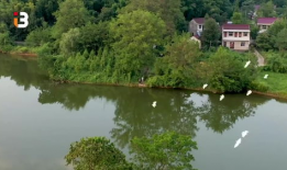 久久撸视频,带你领略短视频的魅力与挑战